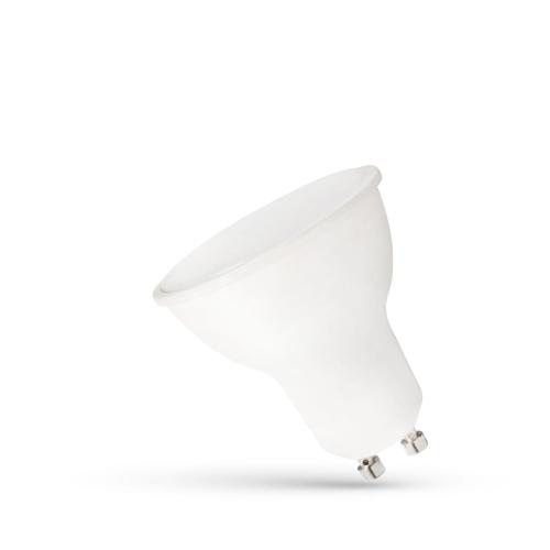 WOJ--14592,img01.jpg