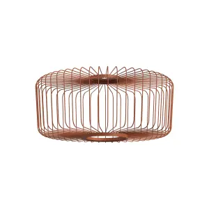 Klosz CAMELEON KENAI C 12245 Nowodvorski