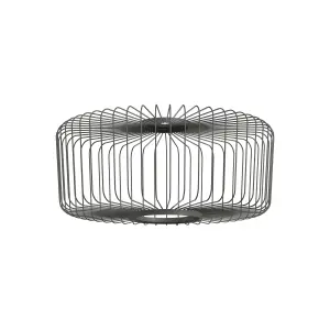 Klosz CAMELEON KENAI C 12246 Nowodvorski