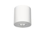 LAMPA SUFITOWA POINT WHITE SILVER WHITE GRAPHITE M 6001 Nowodvorski